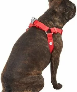 Frisco Outdoor Solid Textured Waterproof Stink Proof PVC Dog Harness -The Frisco Store 256518 PT3. SY630 V1625164999