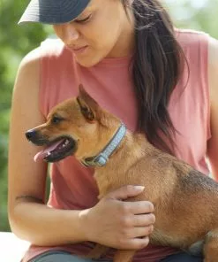 Frisco Outdoor Comfort Print Nylon Padded Dog Collar -The Frisco Store 256713 PT5. SY630 V1625587063