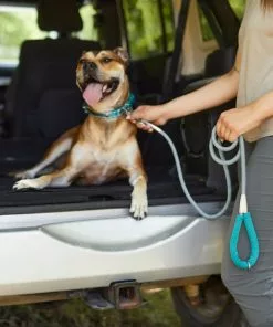 Frisco Outdoor Ultra Reflective Rope Leash with Padded Handle -The Frisco Store 256753 PT5. SY630 V1625587202