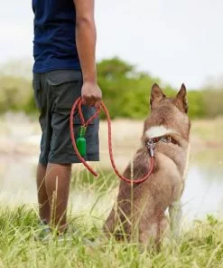 Frisco Outdoor Waterproof Stinkproof PVC Rope Leash -The Frisco Store 256760 PT5. SY630 V1625587621