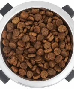 Frisco Iron Stand Dog & Cat Single Bowl Diner -The Frisco Store 257150 PT4. SY630 V1615312614