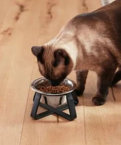 Frisco Iron Stand Dog & Cat Single Bowl Diner -The Frisco Store 257150 PT7. SY630 V1615989141