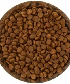 Frisco Flare Dog & Cat Bowl -The Frisco Store 257162 PT4. SY630 V1612366692