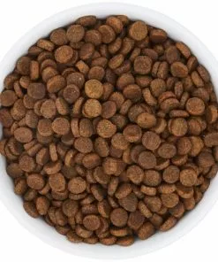 Frisco Bohemian Dog & Cat Bowl -The Frisco Store 257195 PT4. SY630 V1615311089