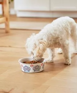 Frisco Bohemian Dog & Cat Bowl -The Frisco Store 257195 PT8. SY630 V1615932115