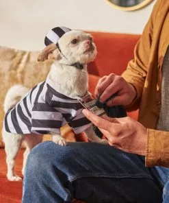 Frisco Prisoner Dog & Cat Costume -The Frisco Store 260931 PT8. SY630 V1624400474