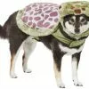 Frisco Sea Turtle Dog & Cat Costume -The Frisco Store 260948 MAIN. SY630 V1624338278