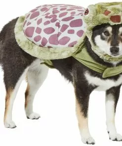 Frisco Sea Turtle Dog & Cat Costume