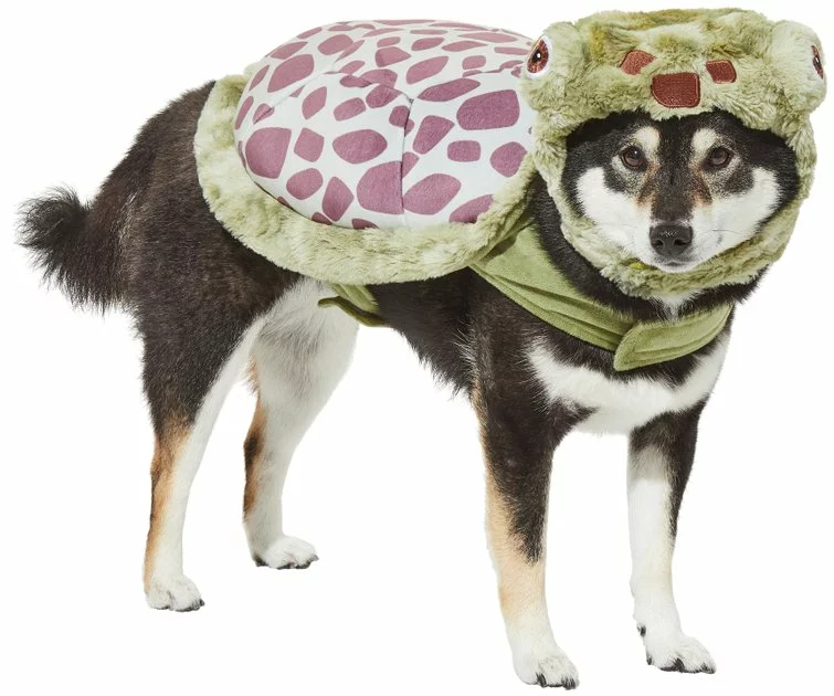 Frisco Sea Turtle Dog & Cat Costume 3 Frisco Sea Turtle Dog & Cat Costume