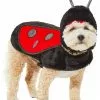 Frisco Ladybug Dog & Cat Costume 1 Frisco Ladybug Dog & Cat Costume -The Frisco Store 260971 MAIN. SY630 V1624398246