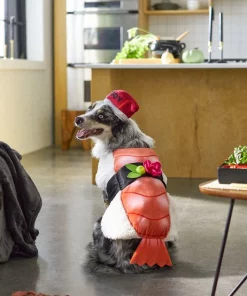 Frisco Sushi Dog & Cat Costume 15 Frisco Sushi Dog & Cat Costume -The Frisco Store 260983 PT8. SY630 V1624397339