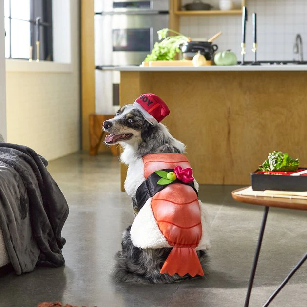 Frisco Sushi Dog & Cat Costume 9 Frisco Sushi Dog & Cat Costume - Image 7