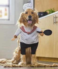 Frisco Front Walking Chef Dog & Cat Costume -The Frisco Store 261002 PT8. SY630 V1624366984