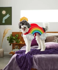 Frisco Rainbow Dog & Cat Costume -The Frisco Store 261019 PT8. SY630 V1624370951