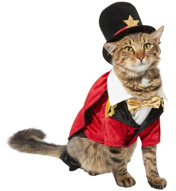 Frisco Ringmaster Dog & Cat Costume 3 Frisco Ringmaster Dog & Cat Costume