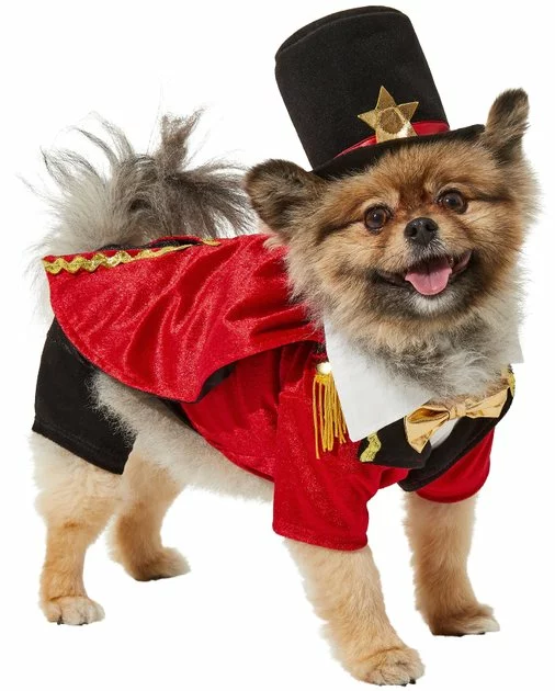 Frisco Ringmaster Dog & Cat Costume 5 Frisco Ringmaster Dog & Cat Costume - Image 3