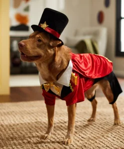 Frisco Ringmaster Dog & Cat Costume 17 Frisco Ringmaster Dog & Cat Costume -The Frisco Store 261023 PT8. SY630 V1624398366