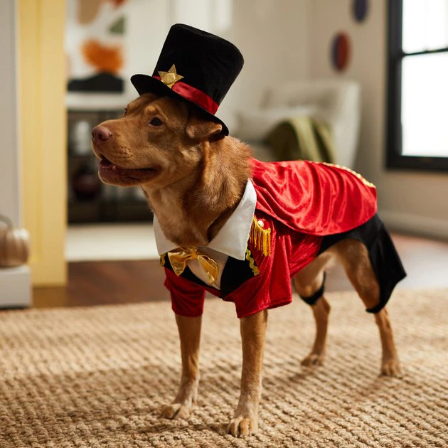 Frisco Ringmaster Dog & Cat Costume 10 Frisco Ringmaster Dog & Cat Costume - Image 8