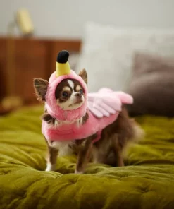 Frisco Flamingo Dog & Cat Costume 15 Frisco Flamingo Dog & Cat Costume -The Frisco Store 261054 PT8. SY630 V1624335210