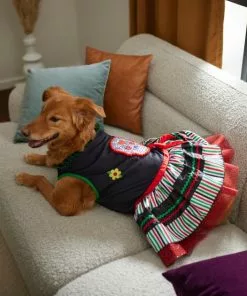 Frisco Day of the Dead Dog & Cat Costume Dress -The Frisco Store 261076 PT8. SY630 V1624335820