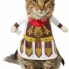 Frisco Front Walking Warrior Dog & Cat Costume 2 Frisco Front Walking Warrior Dog & Cat Costume -The Frisco Store 261086 MAIN. SY630 V1625076236