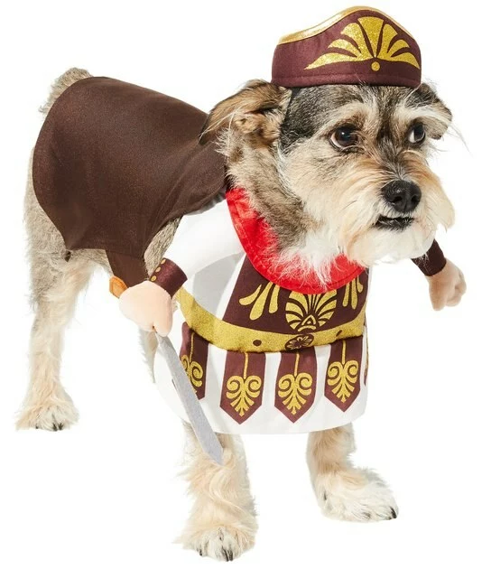 Frisco Front Walking Warrior Dog & Cat Costume 6 Frisco Front Walking Warrior Dog & Cat Costume - Image 4