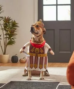 Frisco Front Walking Warrior Dog & Cat Costume 19 Frisco Front Walking Warrior Dog & Cat Costume -The Frisco Store 261086 PT8. SY630 V1624402357