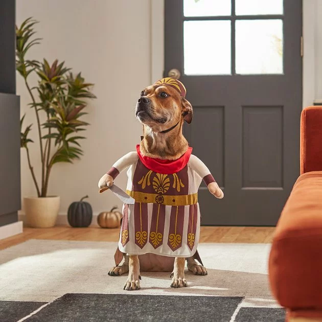 Frisco Front Walking Warrior Dog & Cat Costume 11 Frisco Front Walking Warrior Dog & Cat Costume - Image 9