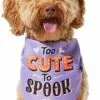 Frisco Too Cute to Spook Dog & Cat Bandana 1 Frisco Too Cute to Spook Dog & Cat Bandana -The Frisco Store 261098 MAIN. SY630 V1624305781