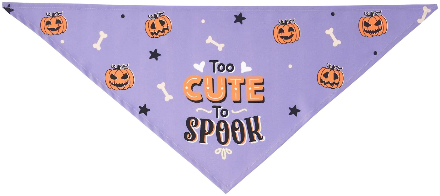 Frisco Too Cute to Spook Dog & Cat Bandana 6 Frisco Too Cute to Spook Dog & Cat Bandana - Image 4