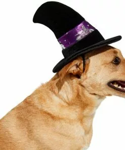 Frisco Midnight Witch Dog & Cat Hat -The Frisco Store 261106 PT3. SY630 V1624306178