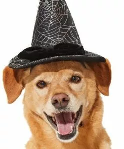 Frisco Cobweb Witch Dog & Cat Hat 9 Frisco Cobweb Witch Dog & Cat Hat -The Frisco Store 261109 PT2. SY630 V1625076831