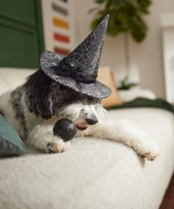 Frisco Cobweb Witch Dog & Cat Hat 11 Frisco Cobweb Witch Dog & Cat Hat -The Frisco Store 261109 PT8. SY630 V1624454622