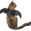 Frisco Bat Wings Dog & Cat Costume 2 Frisco Bat Wings Dog & Cat Costume -The Frisco Store 261113 MAIN. SY630 V1625076458