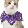 Frisco Spooky Halloween Cat Collar Ruffle, One Size -The Frisco Store 261118 MAIN. SY630 V1624338513
