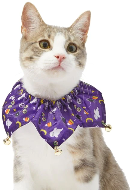 Frisco Spooky Halloween Cat Collar Ruffle, One Size 3 Frisco Spooky Halloween Cat Collar Ruffle, One Size