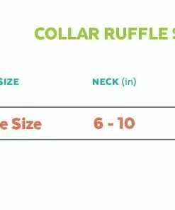 Frisco Whimsical Halloween Cat Collar Ruffle, One Size -The Frisco Store 261120 PT1. SY630 V1624305182