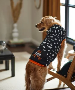 Frisco Glow in the Dark "All Eyes On Me" Dog & Cat Hoodie 19 Frisco Glow in the Dark "All Eyes On Me" Dog & Cat Hoodie -The Frisco Store 261155 PT8. SY630 V1624337335