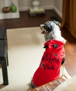Frisco Wicked Cute Dog & Cat Hoodie 15 Frisco Wicked Cute Dog & Cat Hoodie -The Frisco Store 261158 PT8. SY630 V1624398178