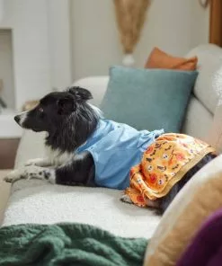 Frisco Chambray Halloween Dog & Cat Dress -The Frisco Store 261165 PT8. SY630 V1624401787