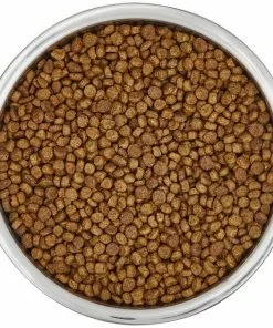 Frisco Insulated Non-Skid Flair Stainless Steel Dog & Cat Bowl, Stainless Steel -The Frisco Store 261753 PT4. SY630 V1623937583