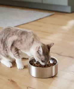 Frisco Insulated Non-Skid Flair Stainless Steel Dog & Cat Bowl, Stainless Steel -The Frisco Store 261753 PT7. SY630 V1623937560