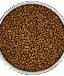 Frisco Insulated Non-Skid Stainless Steel Dog & Cat Bowl, Stainless Steel 15 Frisco Insulated Non-Skid Stainless Steel Dog & Cat Bowl, Stainless Steel -The Frisco Store 261756 PT4. SY630 V1623937394