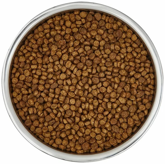 Frisco Insulated Non-Skid Stainless Steel Dog & Cat Bowl, Stainless Steel 7 Frisco Insulated Non-Skid Stainless Steel Dog & Cat Bowl, Stainless Steel - Image 5