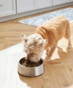 Frisco Insulated Non-Skid Stainless Steel Dog & Cat Bowl, Stainless Steel 16 Frisco Insulated Non-Skid Stainless Steel Dog & Cat Bowl, Stainless Steel -The Frisco Store 261756 PT5. SY630 V1623937574