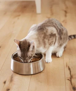 Frisco Insulated Non-Skid Stainless Steel Dog & Cat Bowl, Stainless Steel 18 Frisco Insulated Non-Skid Stainless Steel Dog & Cat Bowl, Stainless Steel -The Frisco Store 261756 PT7. SY630 V1623937534