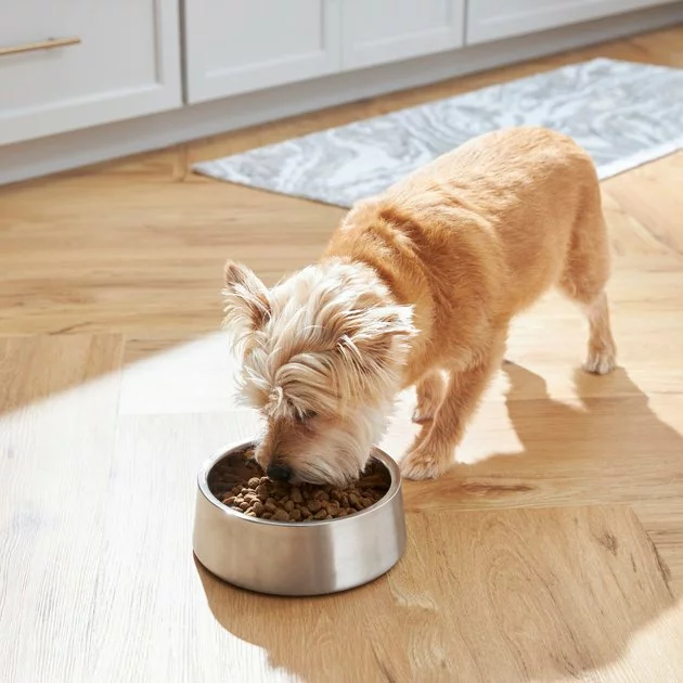 Frisco Insulated Non-Skid Stainless Steel Dog & Cat Bowl, Stainless Steel 11 Frisco Insulated Non-Skid Stainless Steel Dog & Cat Bowl, Stainless Steel - Image 9