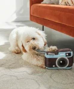 Frisco Road Trip Camera Plush with Rope Squeaky Dog Toy -The Frisco Store 261988 PT3. SY630 V1618598705