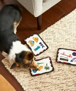 Frisco Road Trip Postcards Flat Plush Squeaky Dog Toy, 3 count -The Frisco Store 262005 PT3. SY630 V1618598296