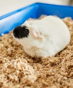 Frisco Small Pet Bedding, Natural, 2 pack, 36-L -The Frisco Store 263928 PT5. SY630 V1625589904